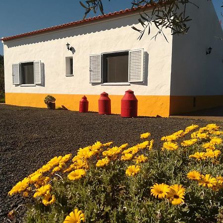 Monte Quinta Verde Ferreira Do Alentejo Eksteriør bilde